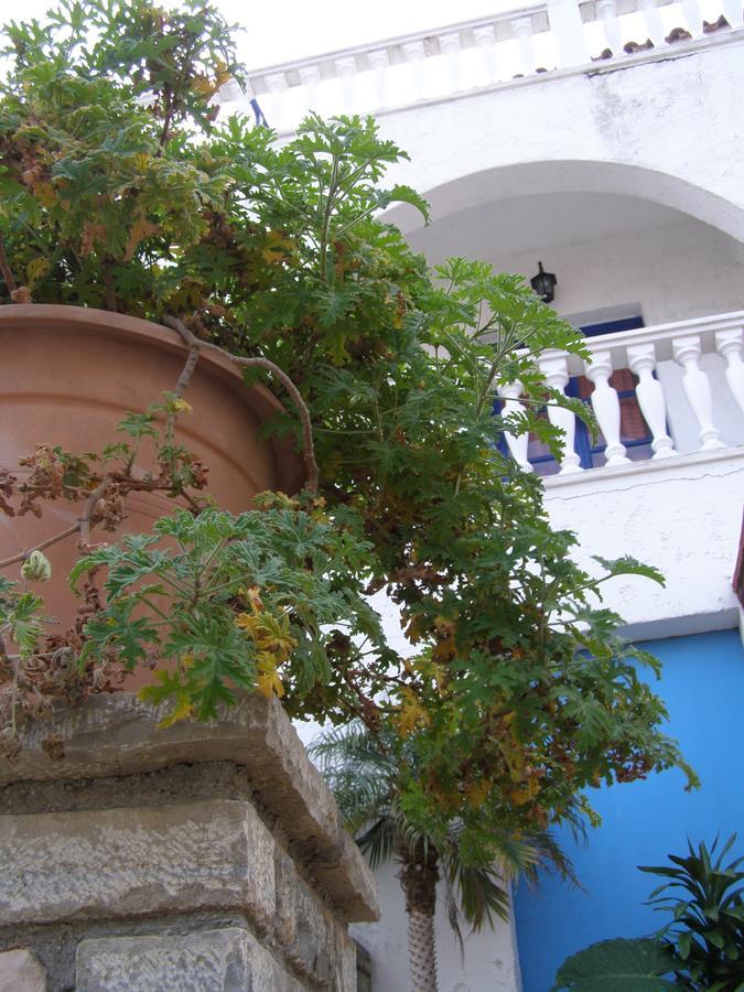 Anthemis Rooms Kokkari Exterior foto